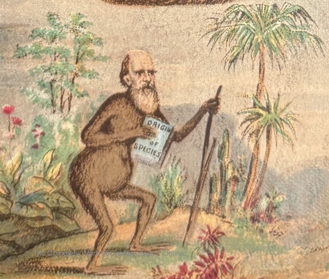 Chromolithographed New Year's Ball invitation for the parading Knights of Momus